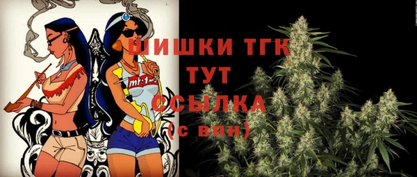 прущий лед Верея