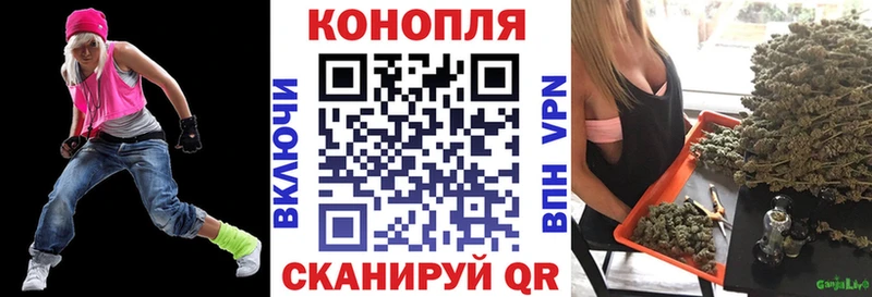 Конопля гибрид  Осинники 